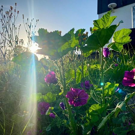 Domki Blisko Nieba III Wisła Exteriör bild